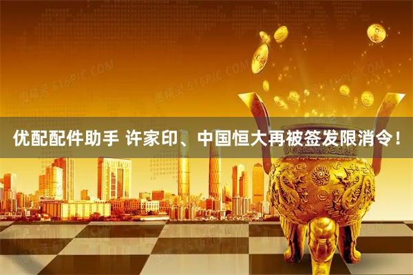 优配配件助手 许家印、中国恒大再被签发限消令！