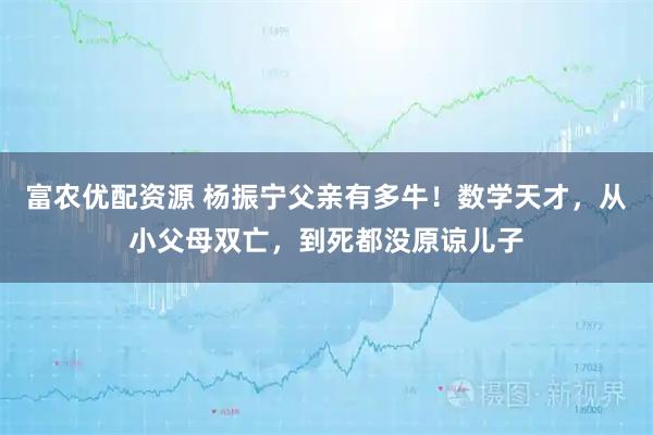 富农优配资源 杨振宁父亲有多牛！数学天才，从小父母双亡，到死都没原谅儿子
