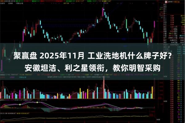 聚赢盘 2025年11月 工业洗地机什么牌子好？安徽坦洁、利之星领衔，教你明智采购